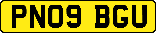PN09BGU