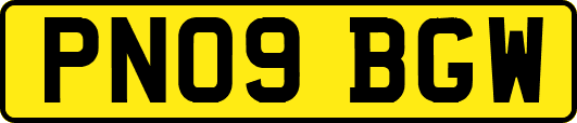 PN09BGW