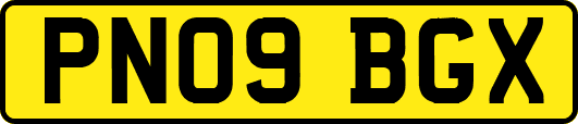 PN09BGX