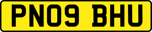 PN09BHU