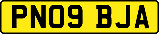 PN09BJA