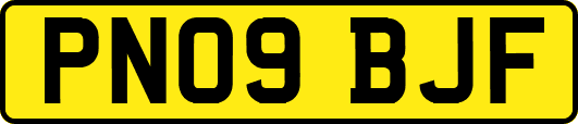 PN09BJF