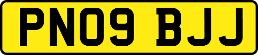 PN09BJJ