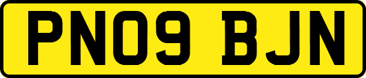 PN09BJN