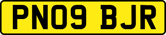 PN09BJR