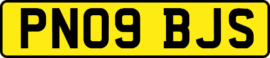 PN09BJS