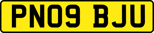 PN09BJU