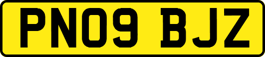 PN09BJZ