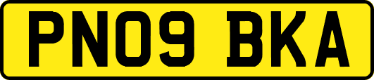 PN09BKA