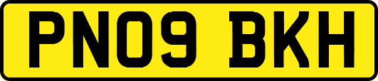 PN09BKH