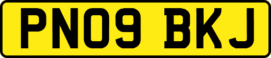 PN09BKJ