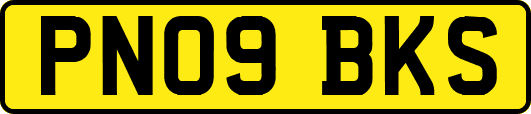 PN09BKS