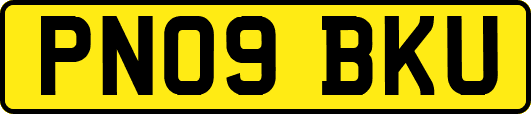 PN09BKU