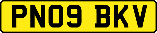 PN09BKV