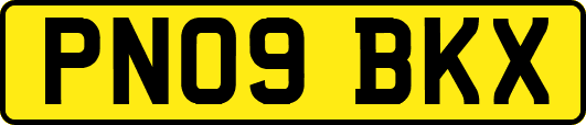PN09BKX