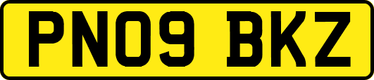 PN09BKZ
