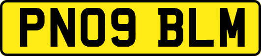 PN09BLM