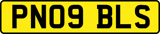 PN09BLS