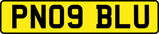 PN09BLU