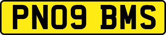 PN09BMS