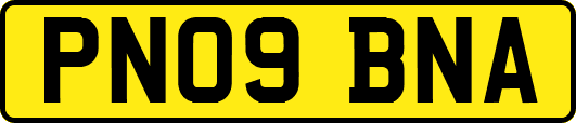 PN09BNA