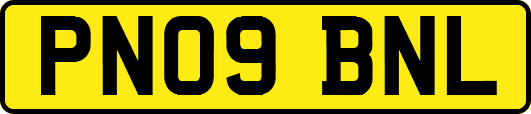PN09BNL