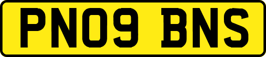 PN09BNS