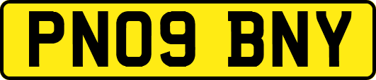 PN09BNY