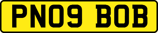 PN09BOB