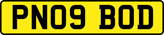 PN09BOD