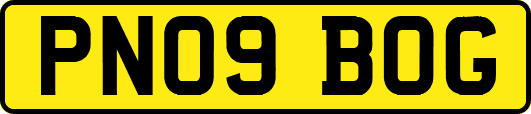 PN09BOG