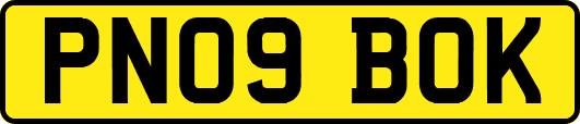 PN09BOK