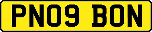 PN09BON