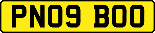 PN09BOO