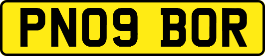PN09BOR
