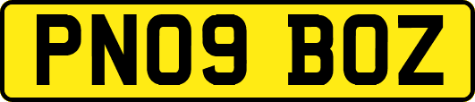 PN09BOZ