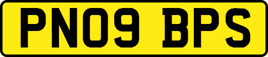 PN09BPS
