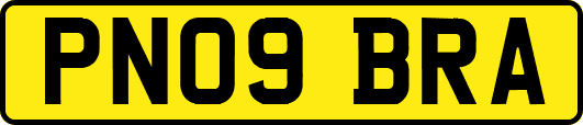 PN09BRA