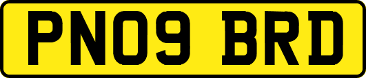 PN09BRD