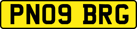 PN09BRG