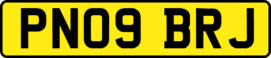 PN09BRJ