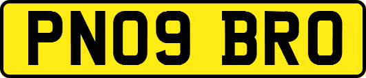PN09BRO