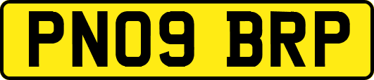 PN09BRP