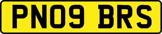 PN09BRS