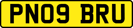 PN09BRU