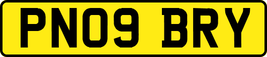 PN09BRY