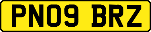 PN09BRZ