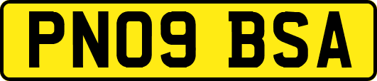 PN09BSA
