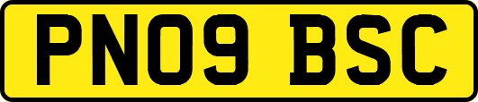 PN09BSC