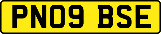 PN09BSE